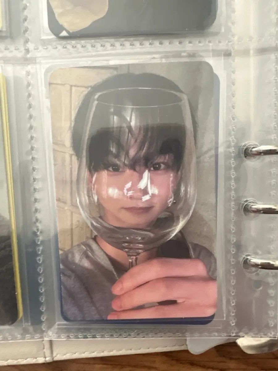 엔하이픈 더신블리스 잔든쩡젴 양도