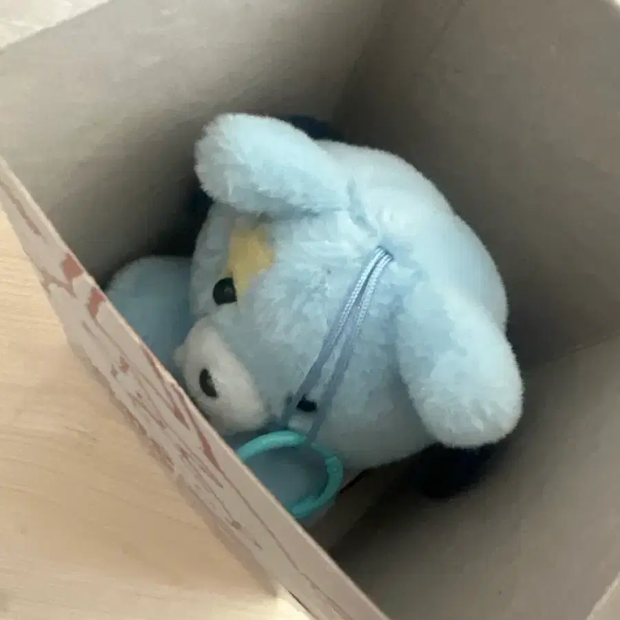 엔하이픈 보이스키링 정원 양도