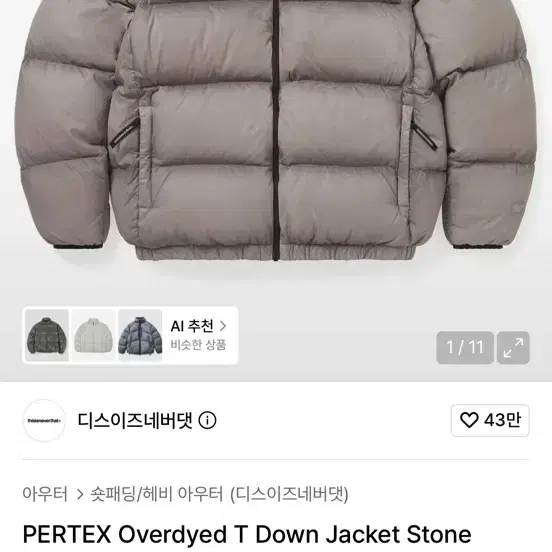 디스이즈네버댓 패딩