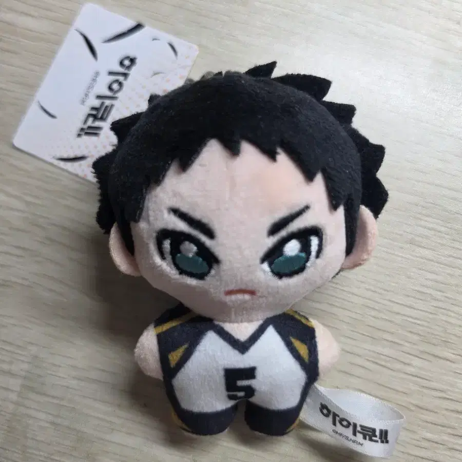 하이큐 아카아시 인형