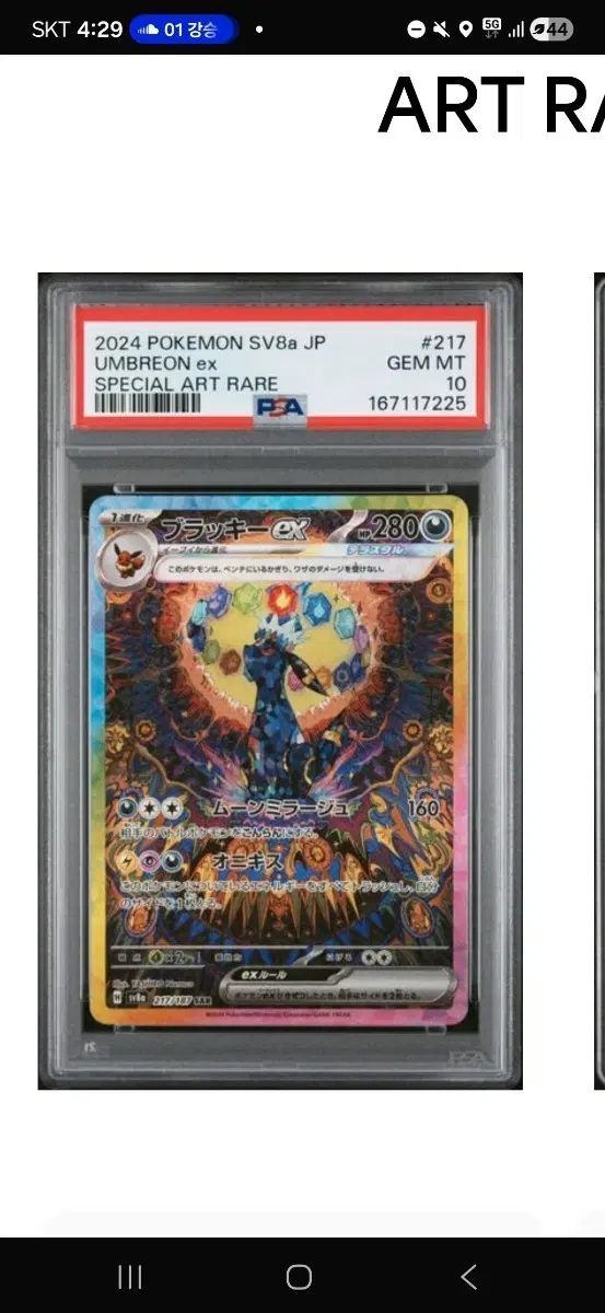 블래키 sar테라스텔 psa10 일판