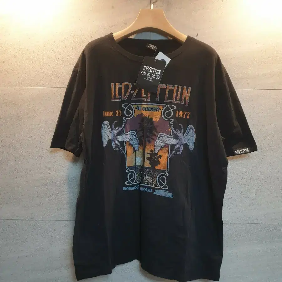 Led Zeppelin. 1977 투어. 반팔티. 미착.