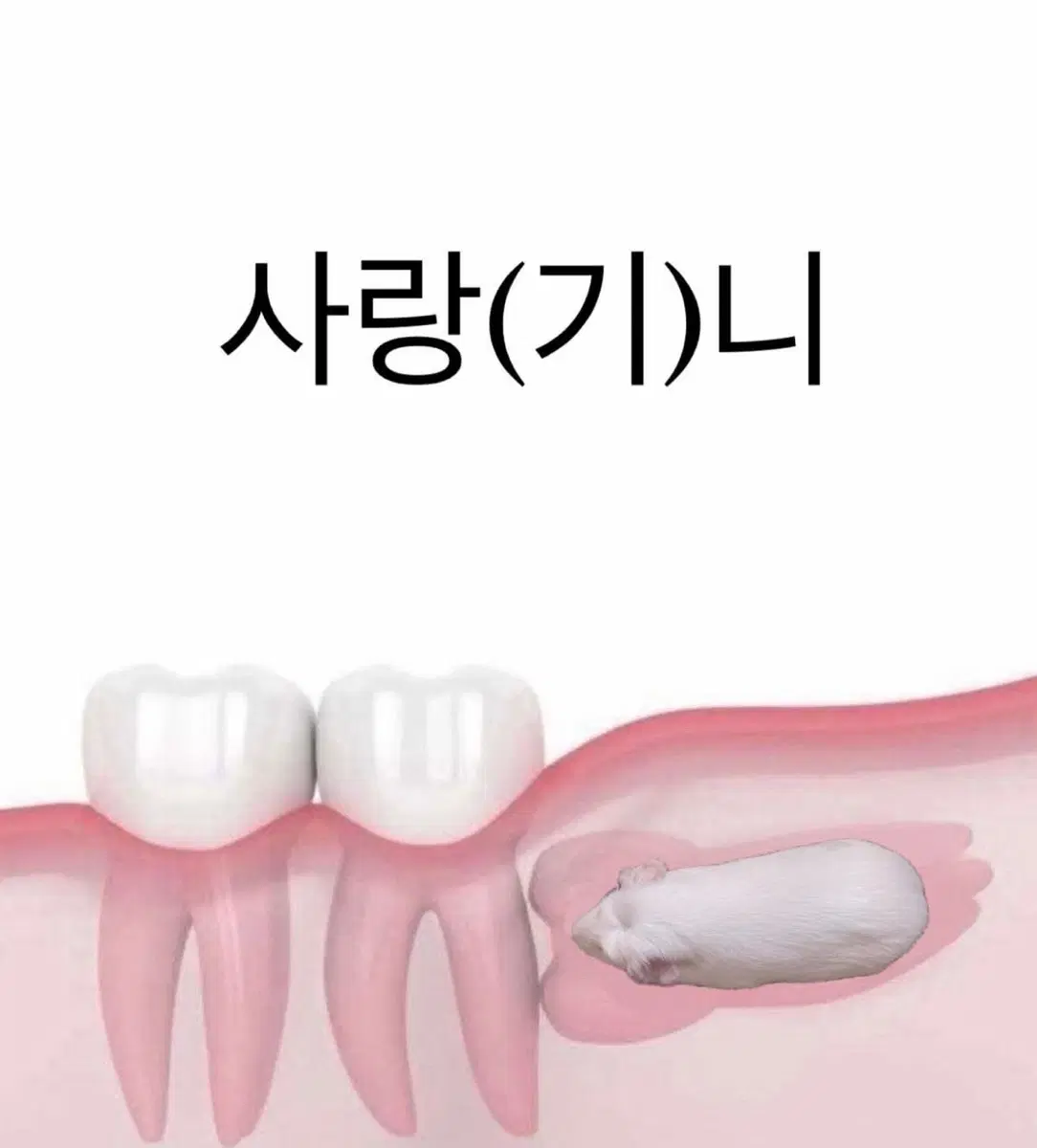 아이폰16프로안전결제창