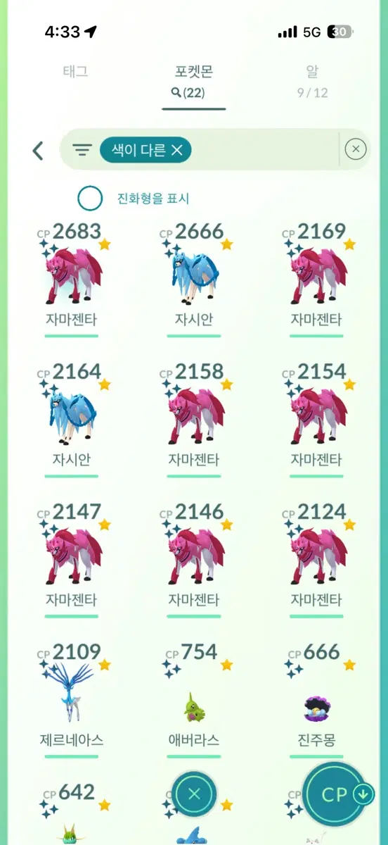 이로치 자시안 자마젠타 팝니다