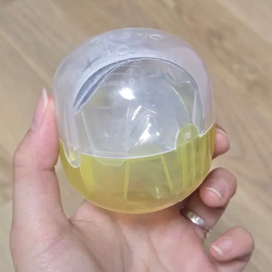 귀멸의칼날 코등이 가챠 젠이치