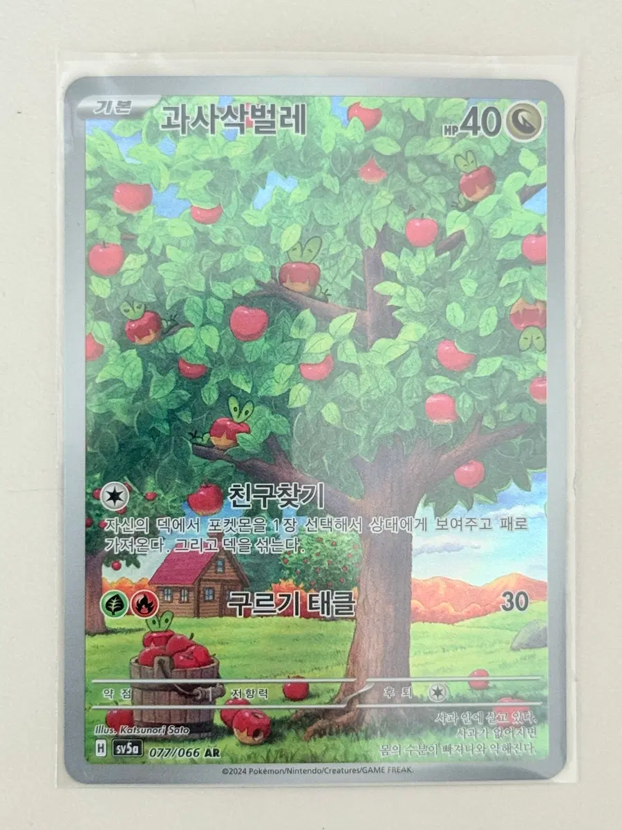 포켓몬 카드 과사삭벌레 AR