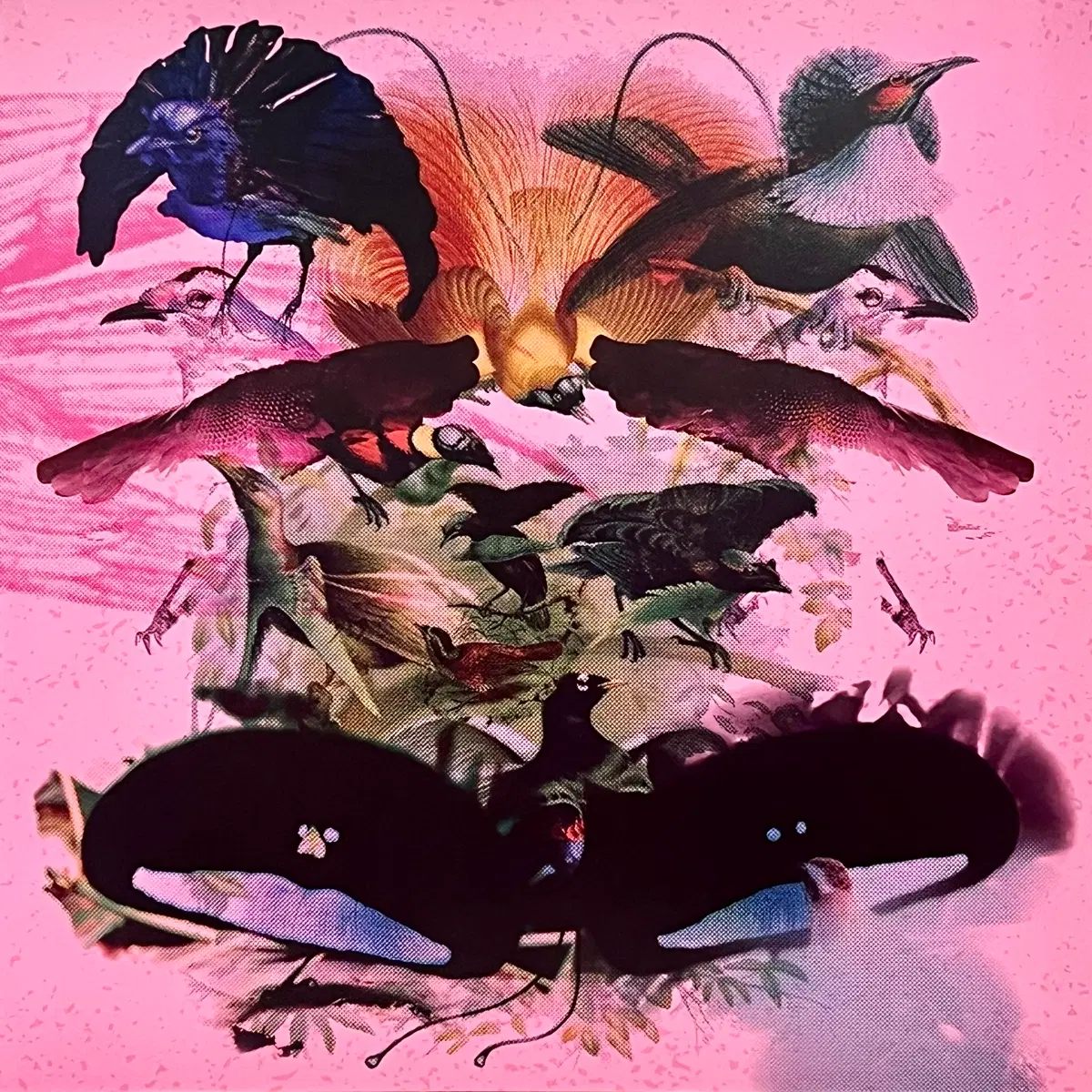 딥하우스LP Leon Vynehall -Rojus (Designed To Dance)