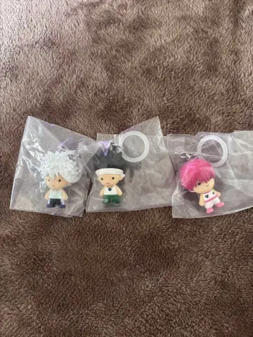 HUNTER x HUNTER 메지루시 액세서리 G.I. 편