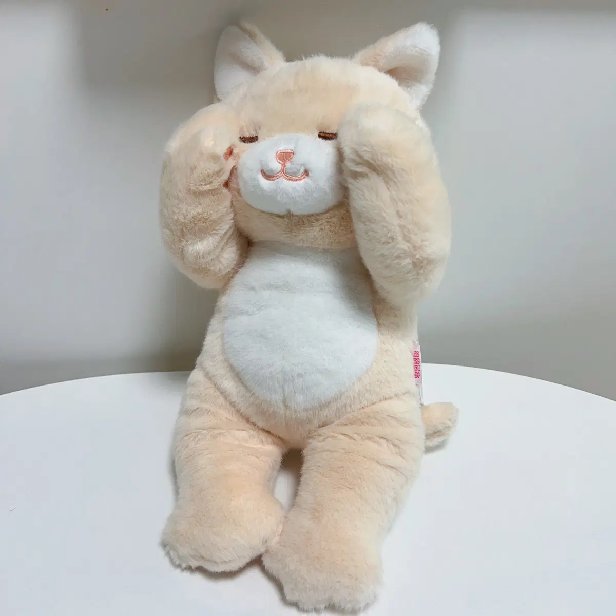 부끄럽냥 고양이 인형