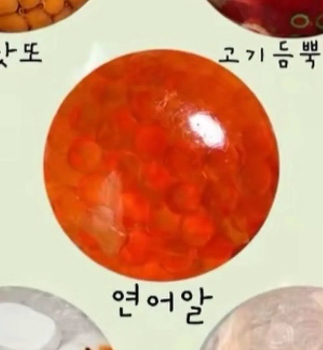 모아의샵 연어알 슬랑이 새상품