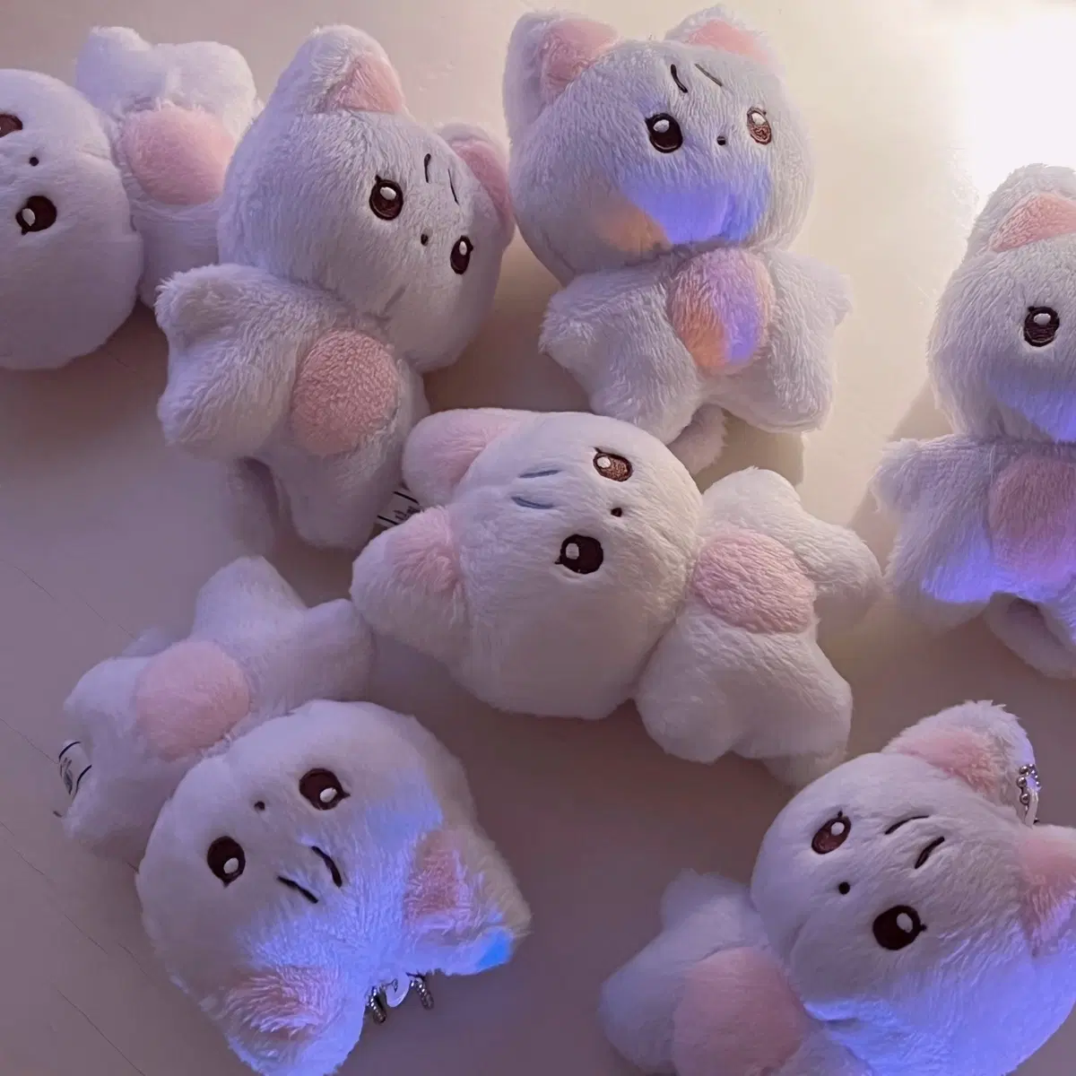 고양이 인형 짜니냥
