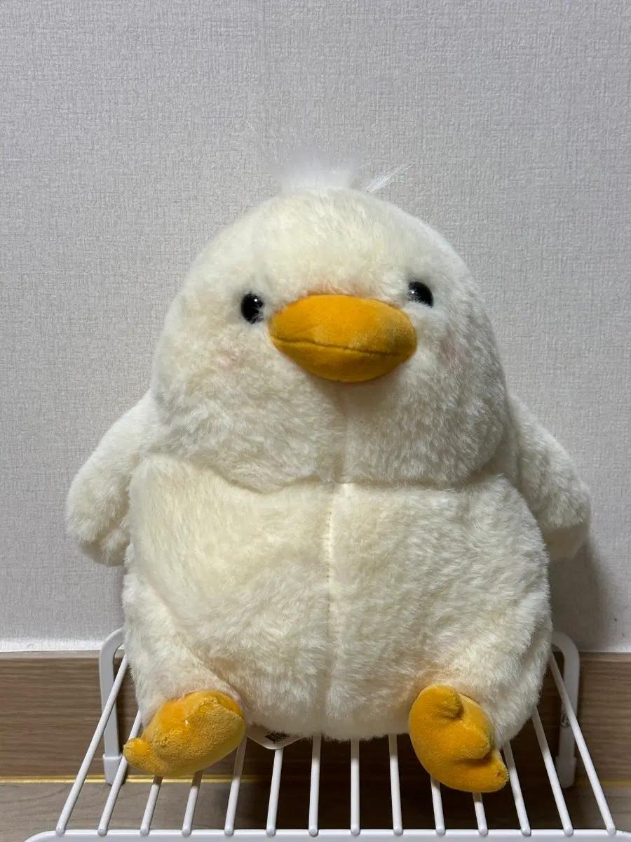 병아리 인형