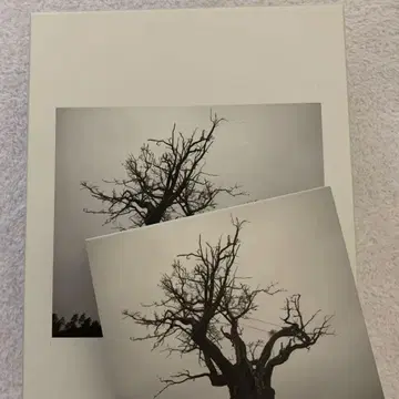 SEKAI NO OWARI 2010-2019 CD DVD