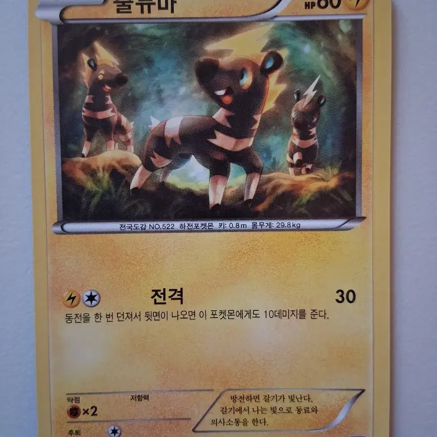 포켓몬 카드 2012년 고대 카드 줄뮤마 기본 024/052