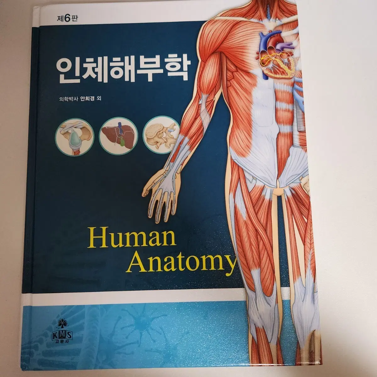 고문사 인체해부학 제 6판