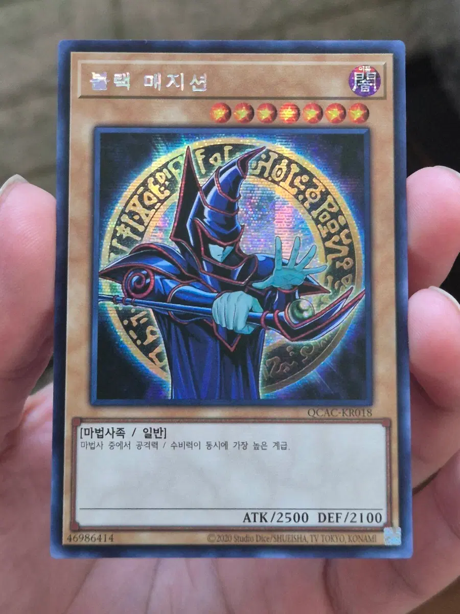 유희왕 블랙 매지션 시크
