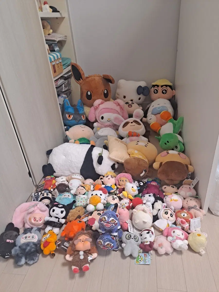 인형 일괄