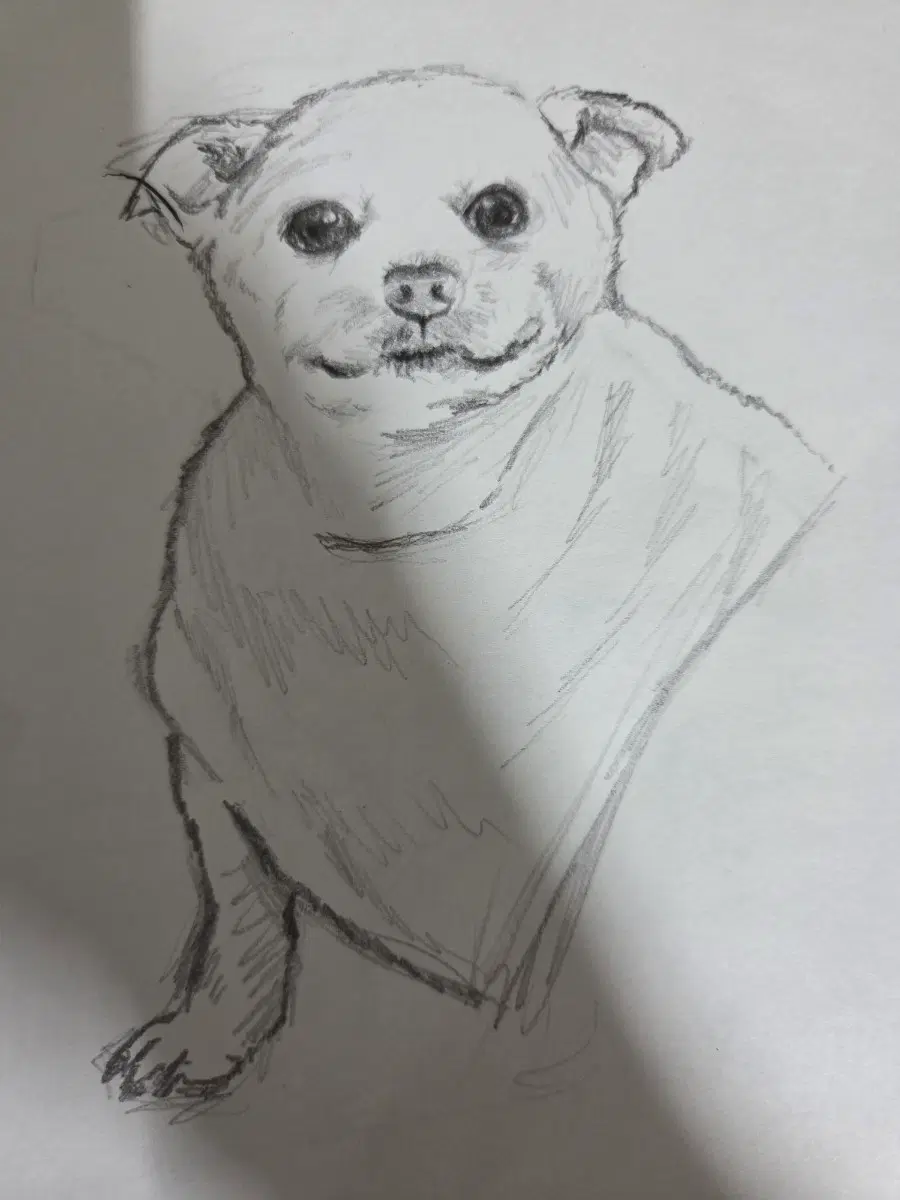 그림 그려드립니다