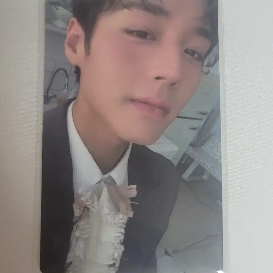 박지훈 citer 시터 포카 판매