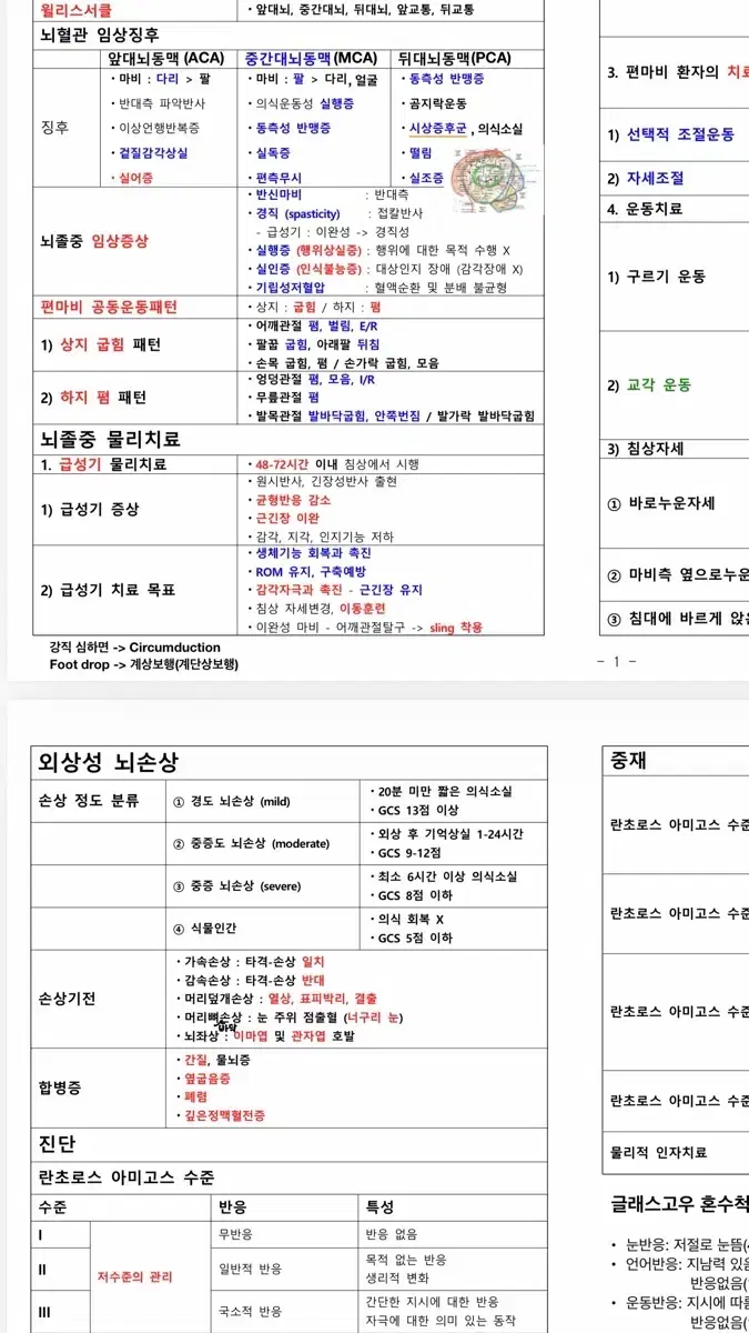 전과목 일괄! )물리치료사 국가고시 전과목 일괄 총정리집