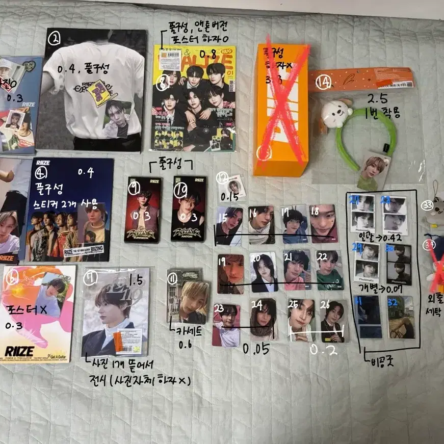 라이즈 탈덕 처분