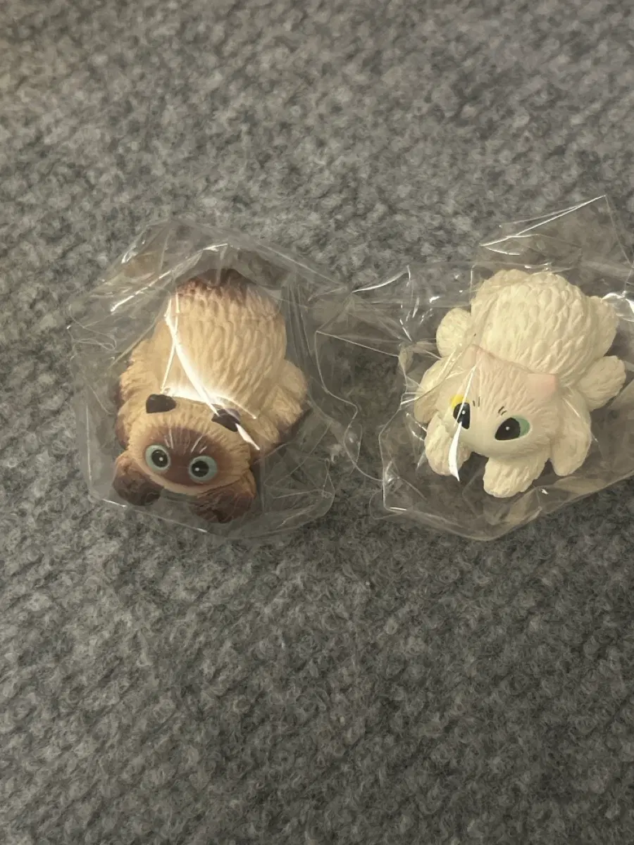쿠모 네코 거미 고양이 가챠