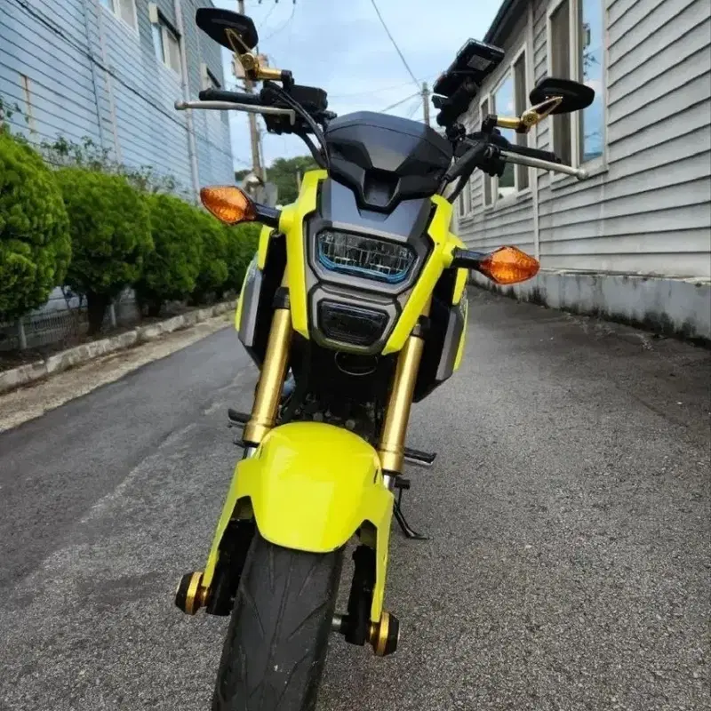 MSX125 SF 17년