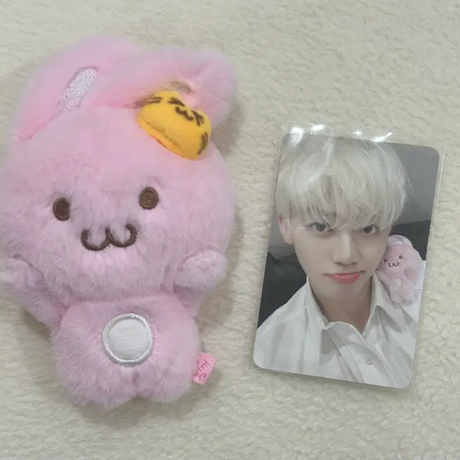 엔시티 드림 재민 인형 핑끼