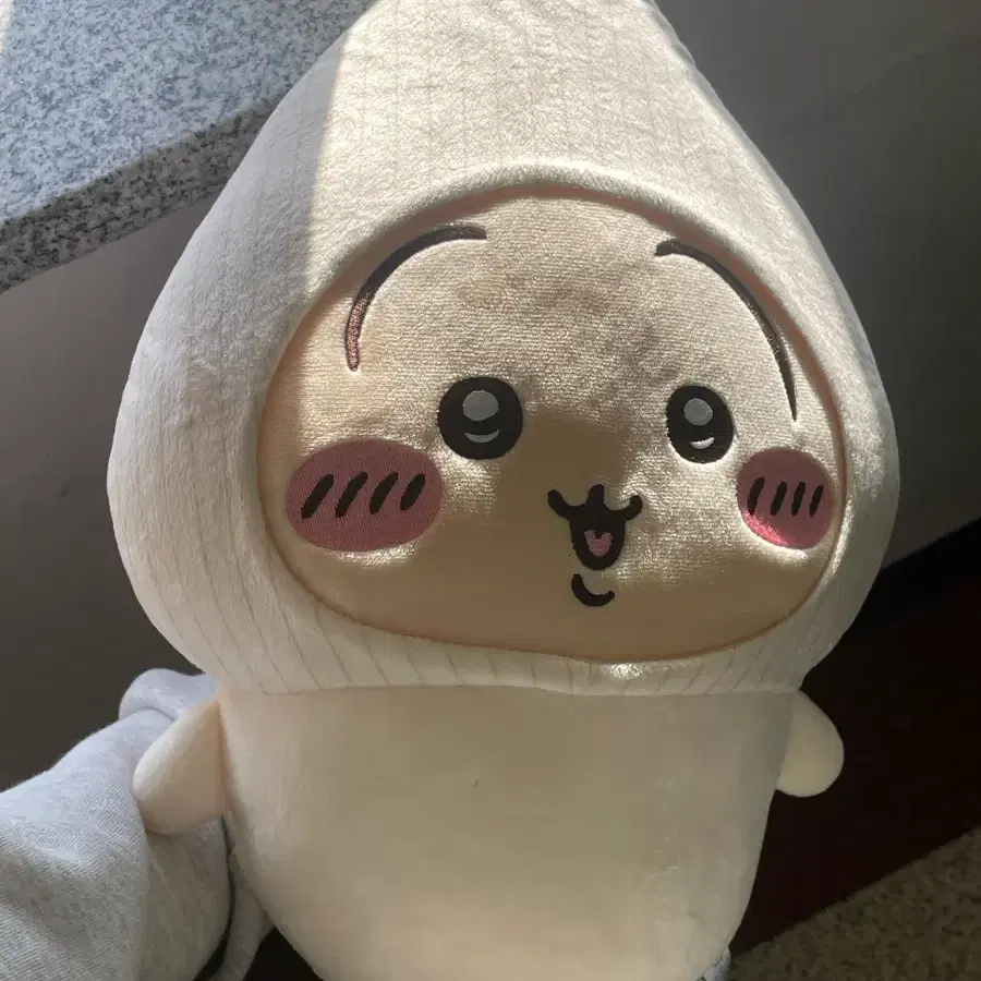 양파우사기