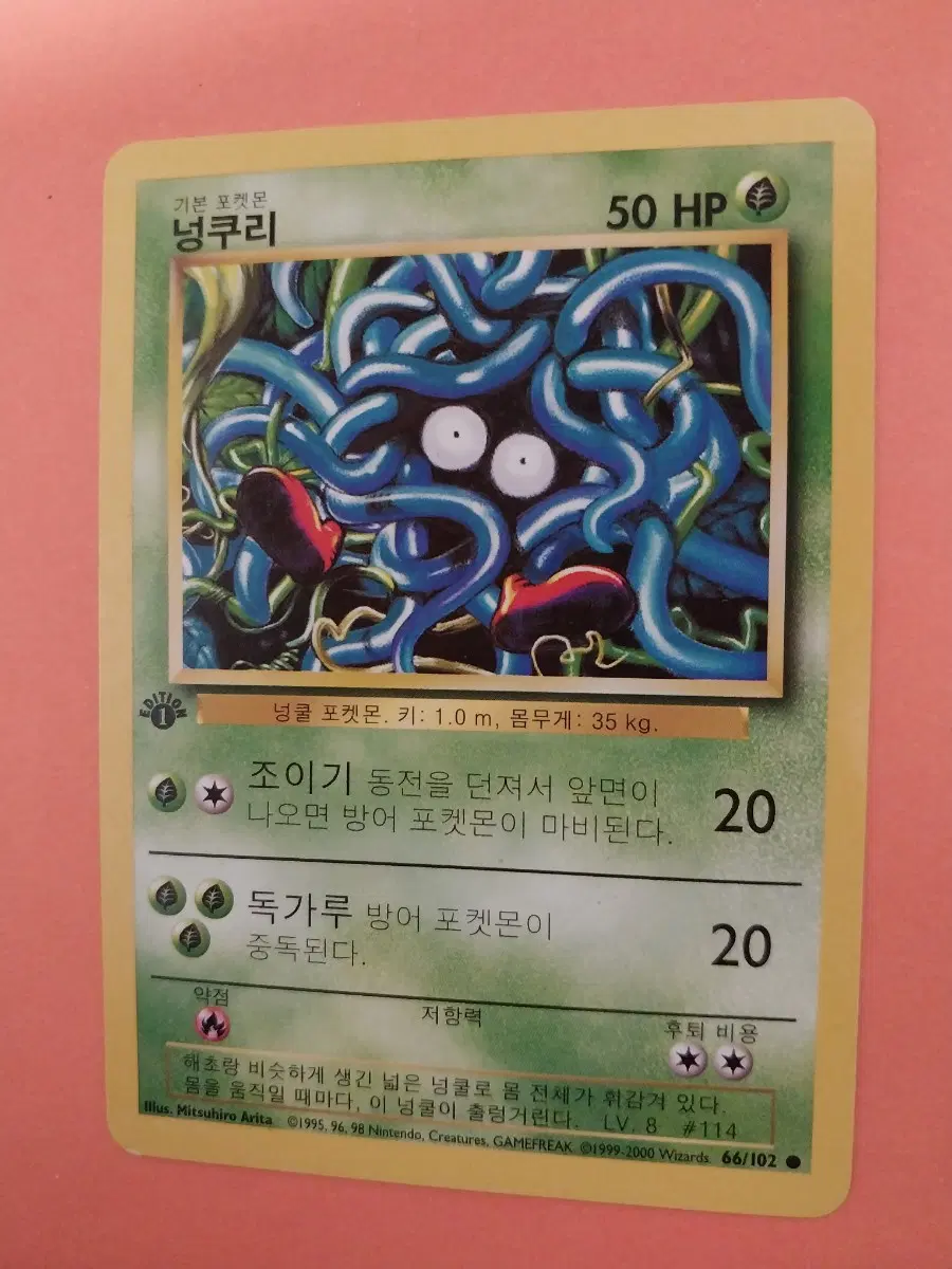 포켓몬카드 넝쿠리 초판 1st edition