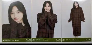 [메루카리 택배] 노기자카46 이노우에 와카츠키 윈도우펜 체크 브로마이드 3종 컴프