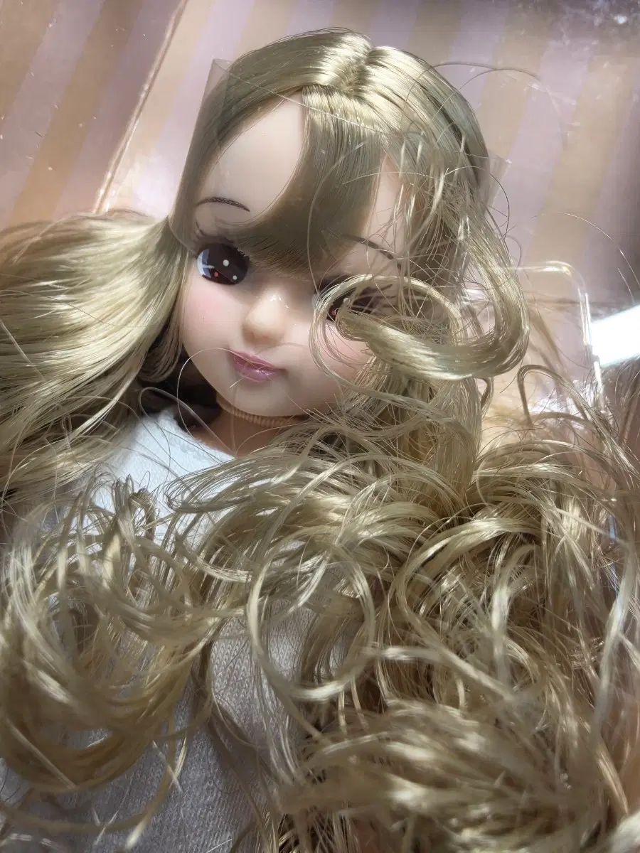 리카캐슬 no.