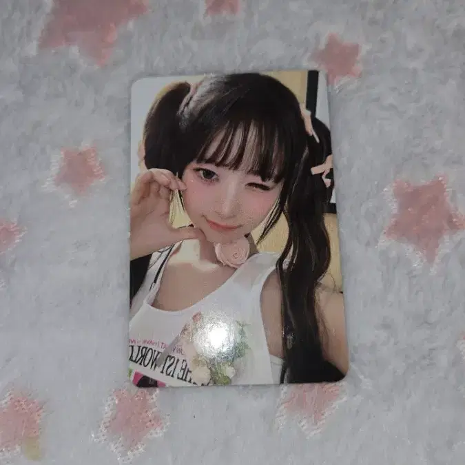 ((폭덤 공굿덤. 아이브 레이포카