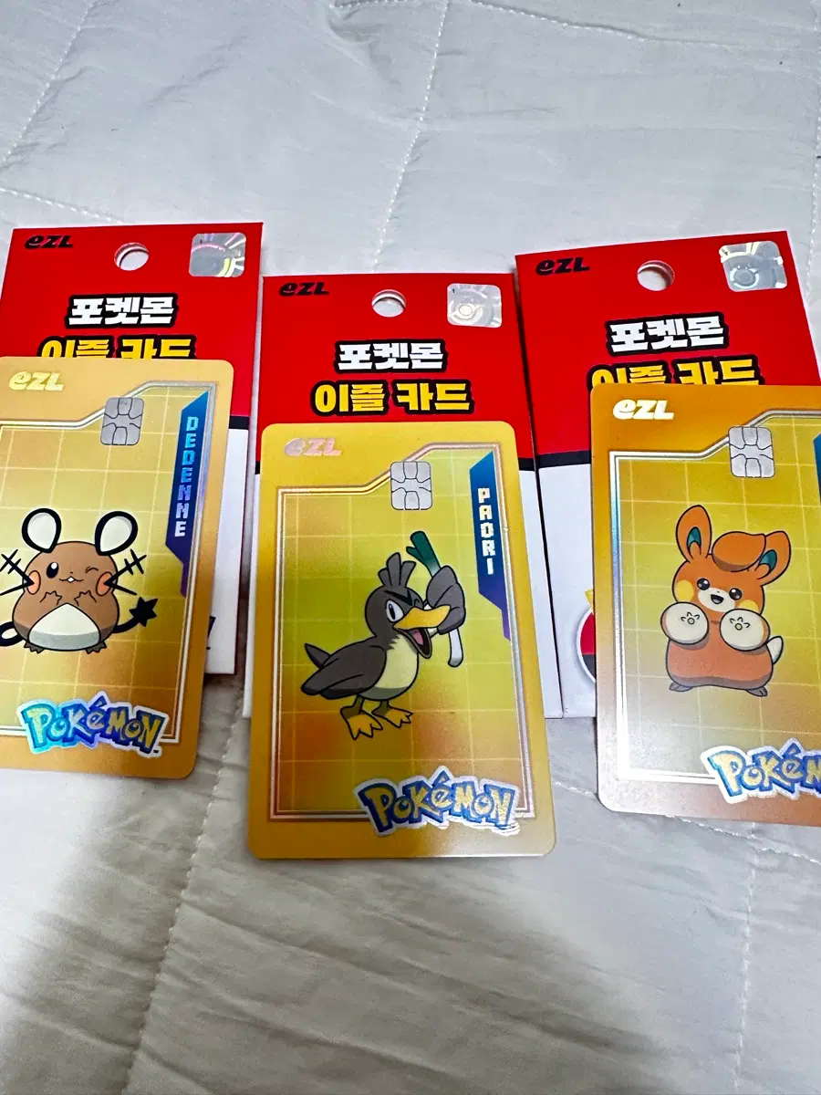 포켓몬 이즐 카드 교통카드 데덴네 파오리 빠모