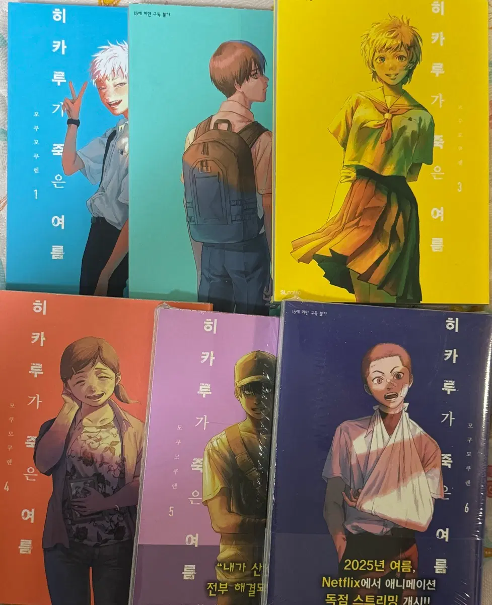 히카루가 죽은 여름