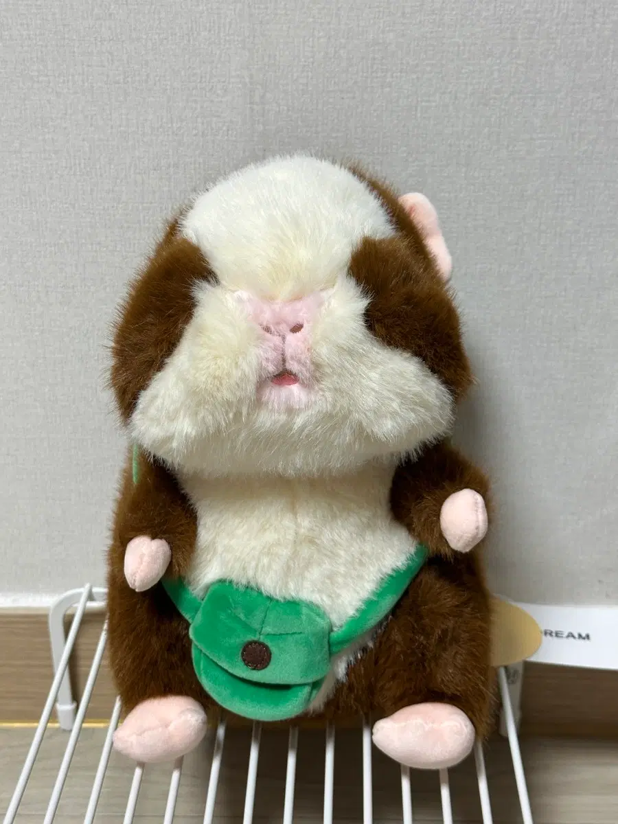 기니피그 인형