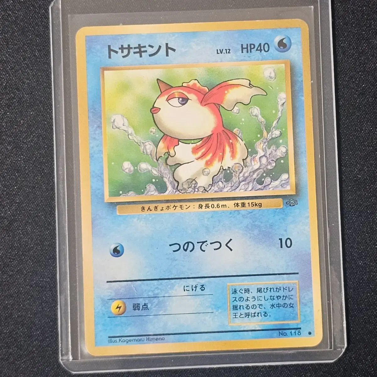 1996년 초판 포켓몬카드 콘치 일판