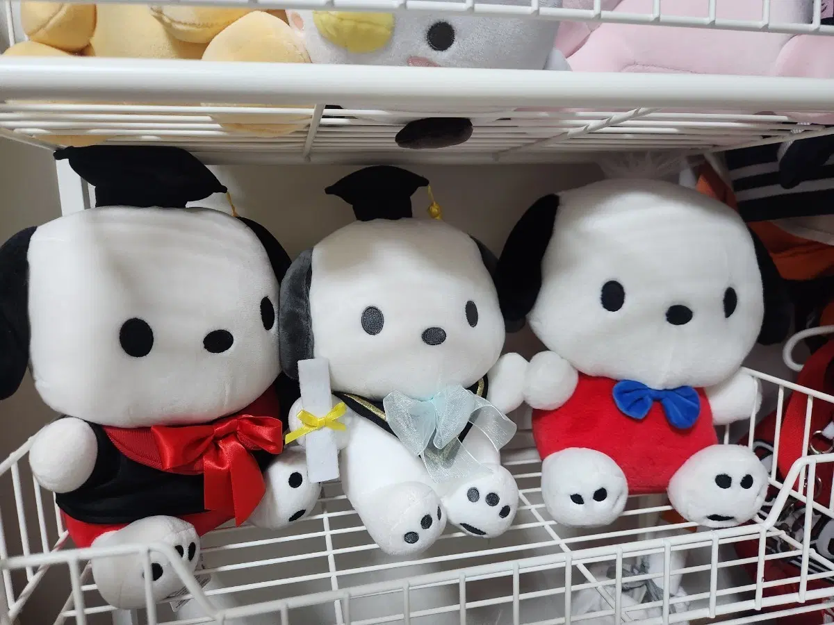 포차코 봉제인형 일괄
