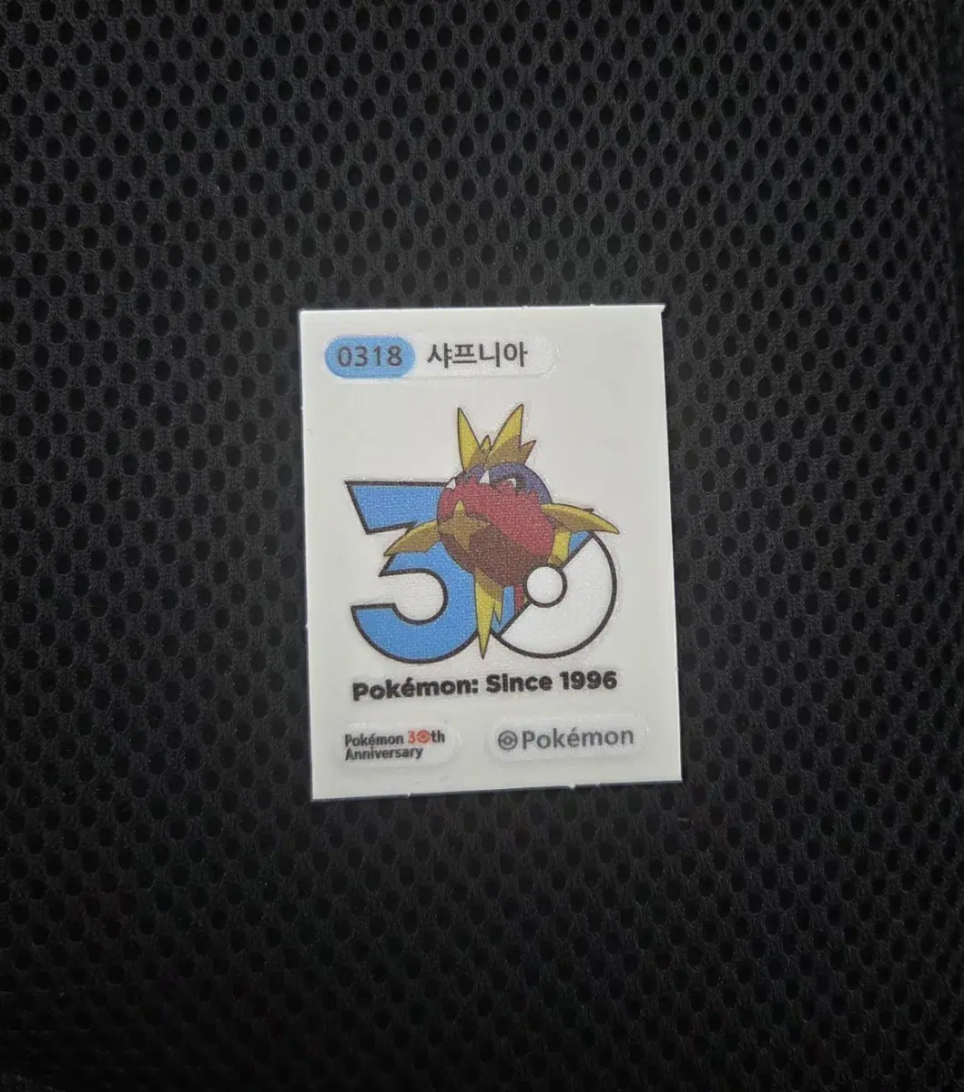 포켓몬 30주년기념 샤프니아 띠부실