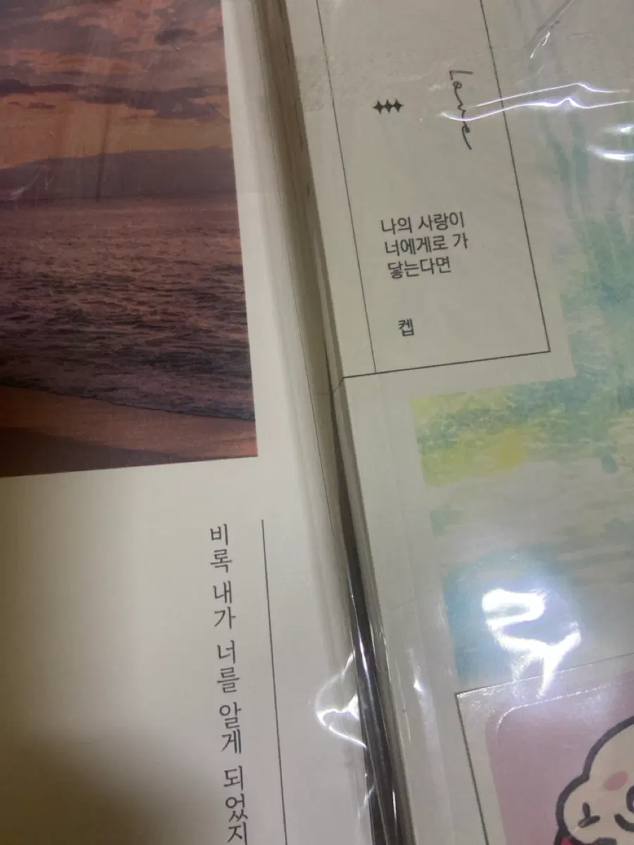 슬램덩크 회지 일괄