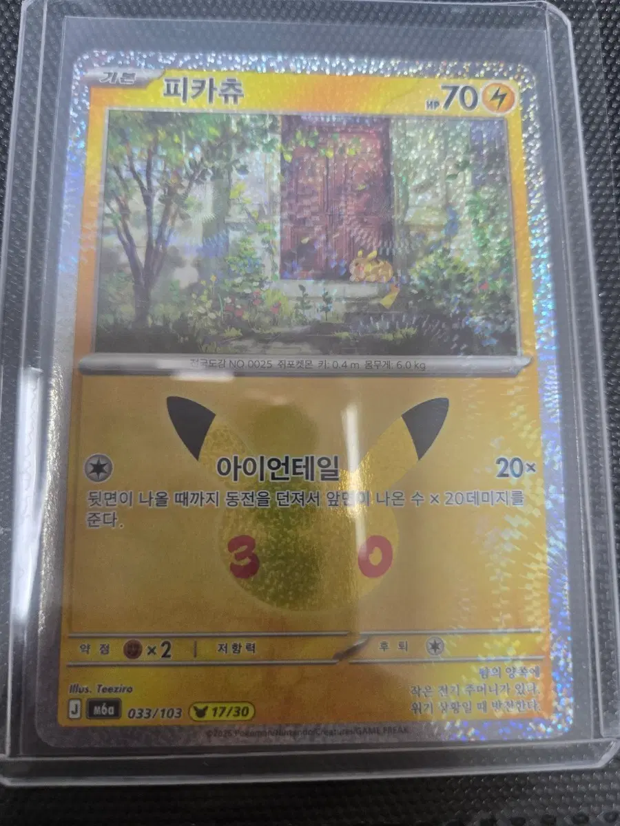 포켓몬 카드 30주년 피카츄 17번