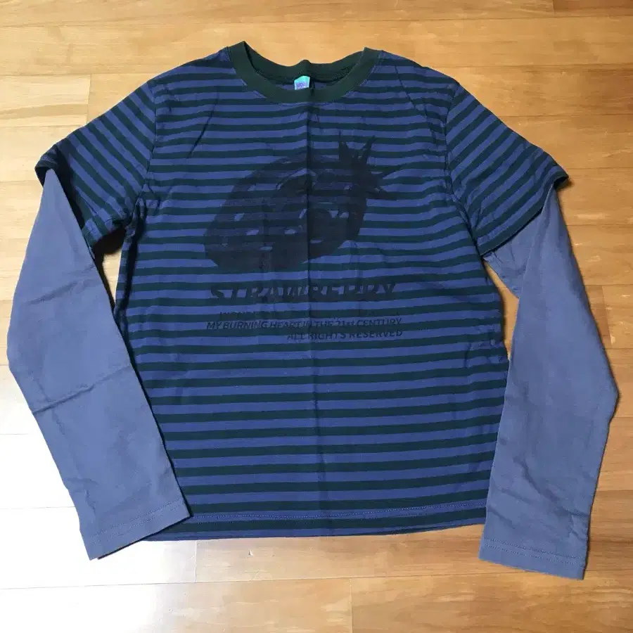 원더비지터 Ash Strawberry Layered LS-T [Green]