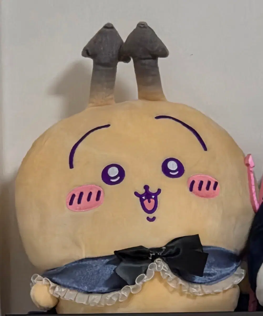 치이카와 악마 우사기 누이