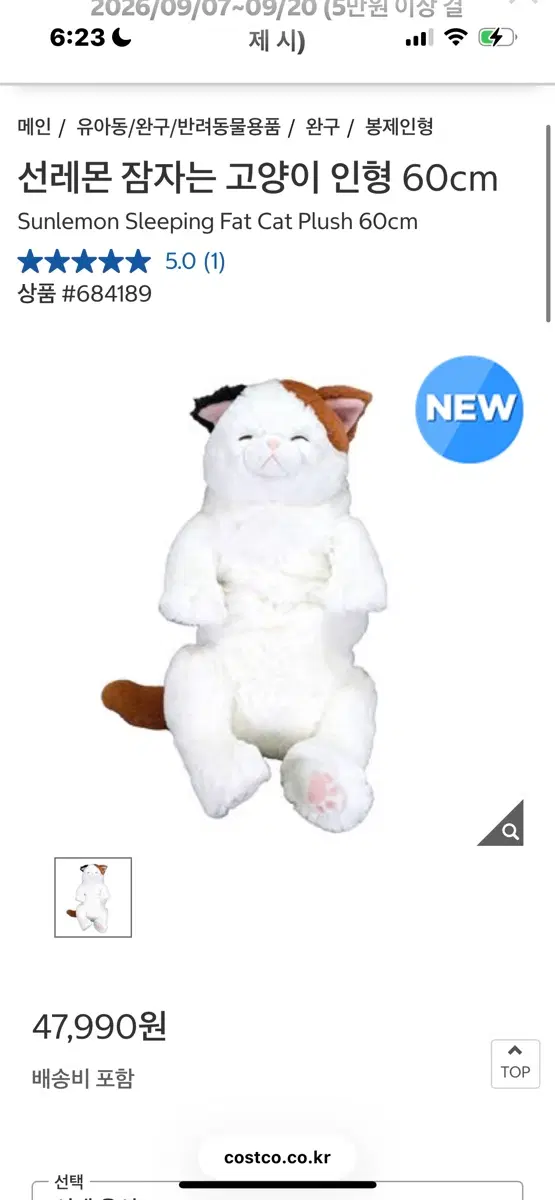 코스트코 고양이 인형 삽니다