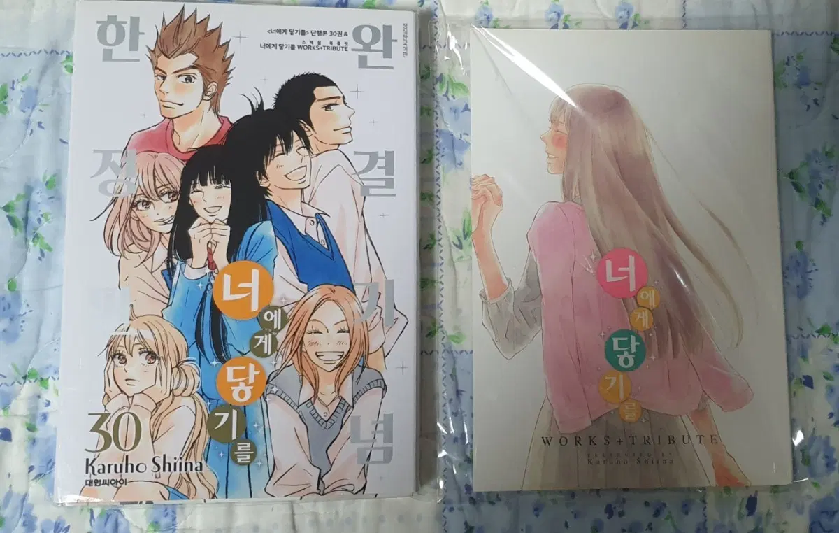 너에게 닿기를 30권 한정판