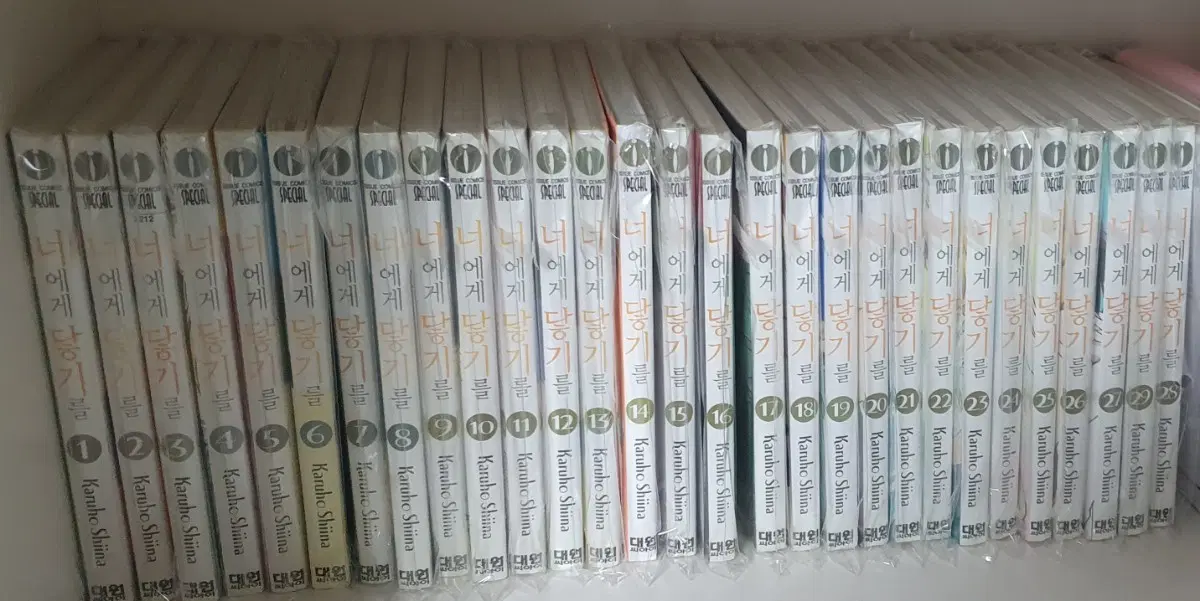 너에게 닿기를 1 ~ 29권(6권 초판(띠지, 특전), 14권 초판)