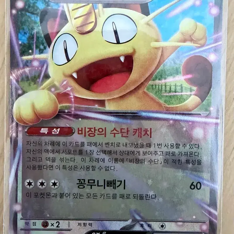 포켓몬카드 나옹rr