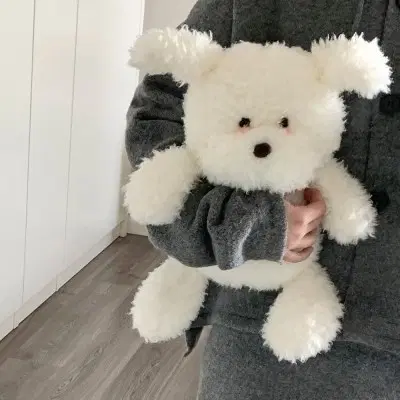 뽀글 강아지 인형 (새상품)