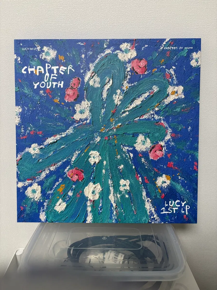 루시 LP