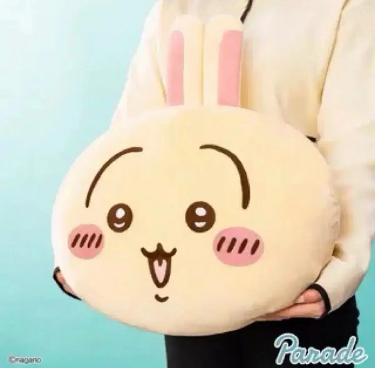 치이카와 우사기 빅페이스 모찌 쿠션 대형